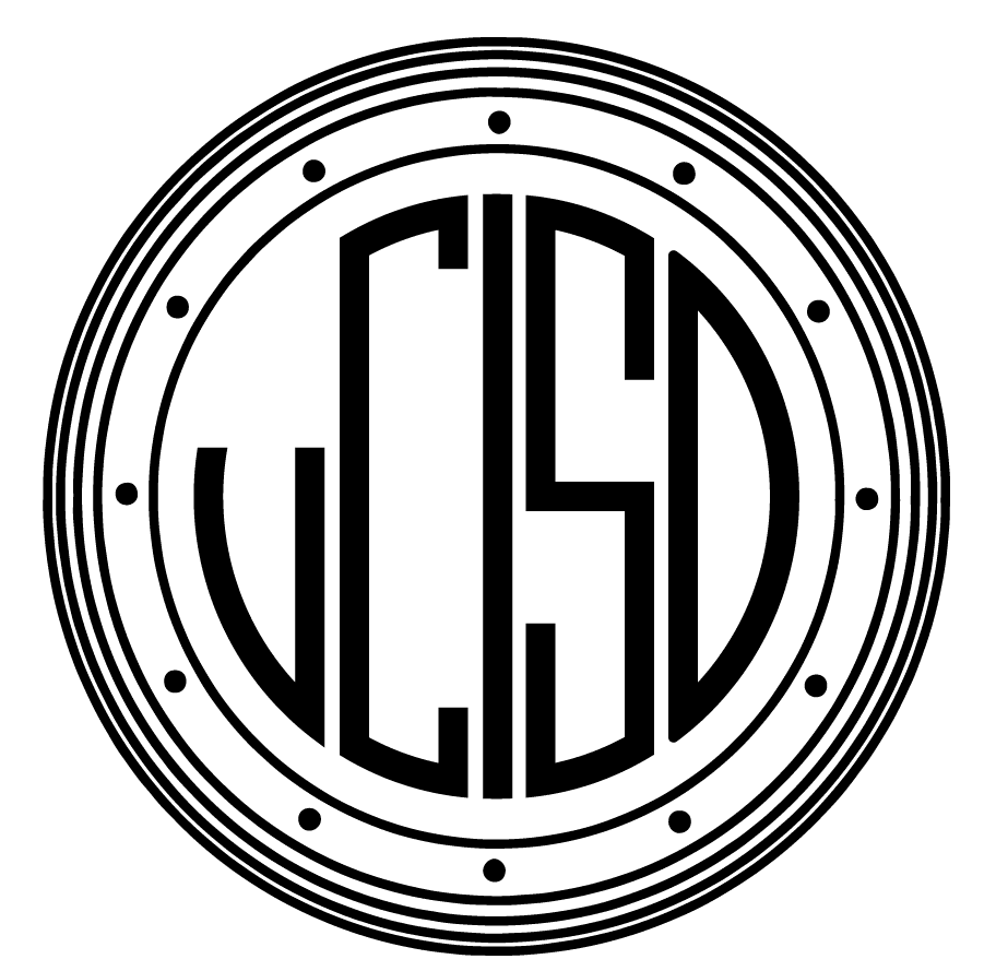 vCISO